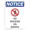 Signmission OSHA Notice, 7" Height, No Walking On Bridge Sign With Symbol, 7" X 5", Portrait OS-NS-D-57-V-15031 - alternate 1
